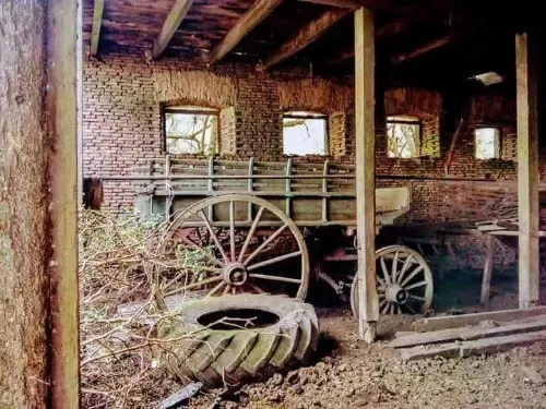 Website Image