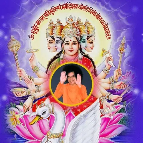 Website Image
