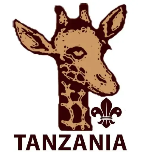 Website Image