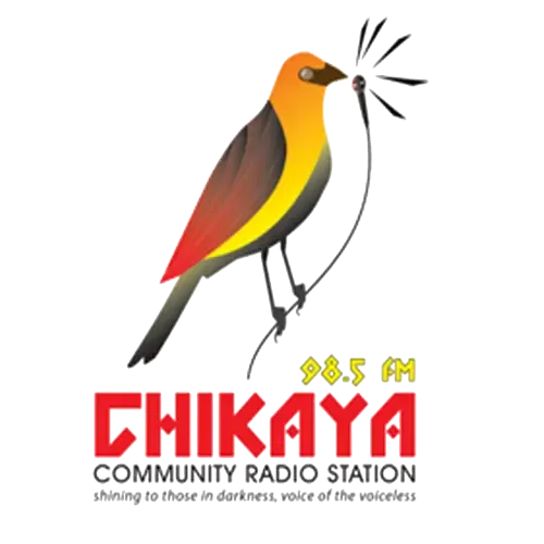 Website Image