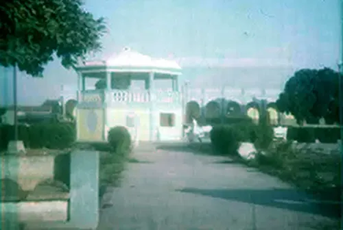 Website Image