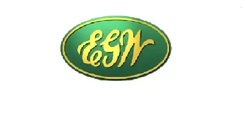 Website Image