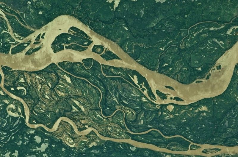 Website Image