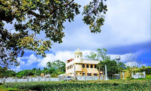 Website Image