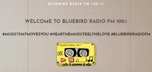 Website Image