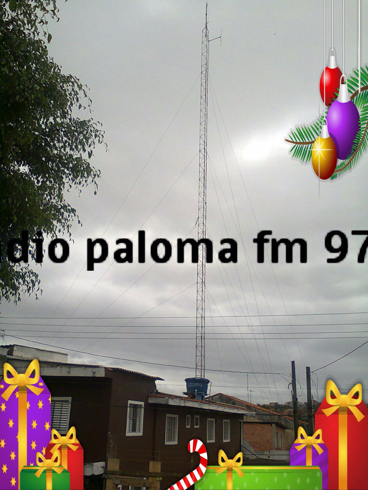 Website Image