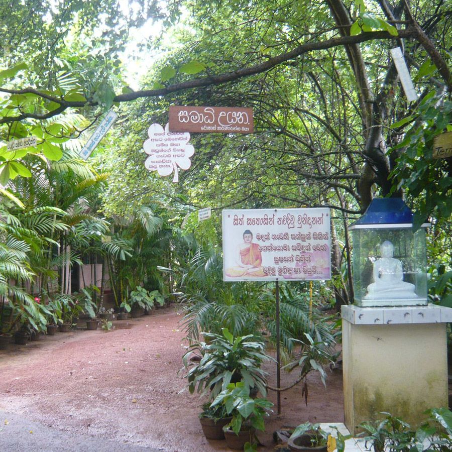 Website Image