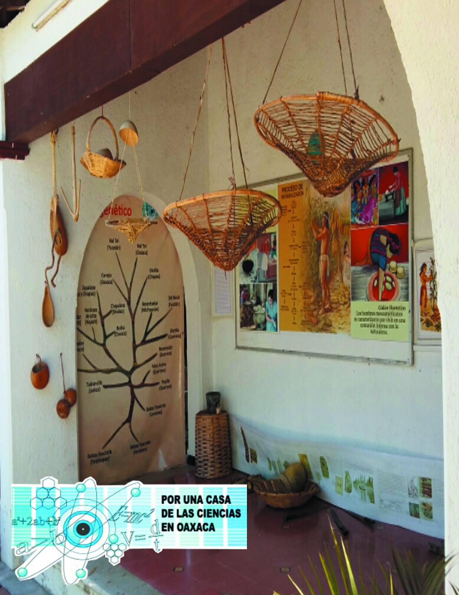 Website Image