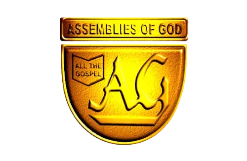 Website Image