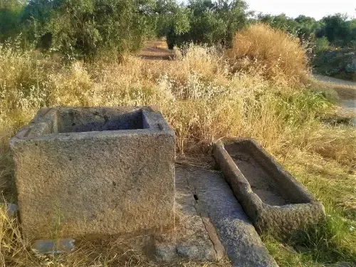 Website Image