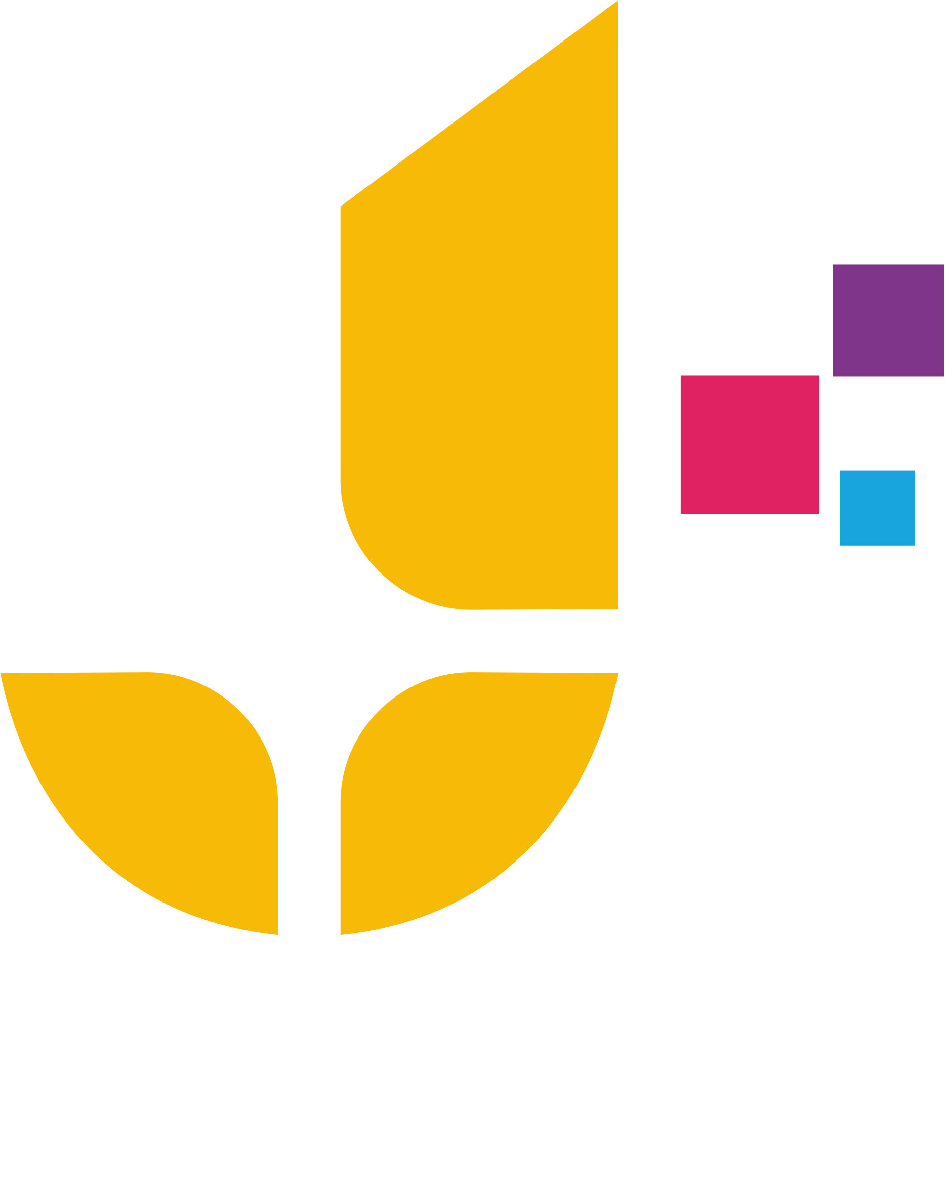 Website Image