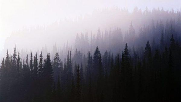 Website Image