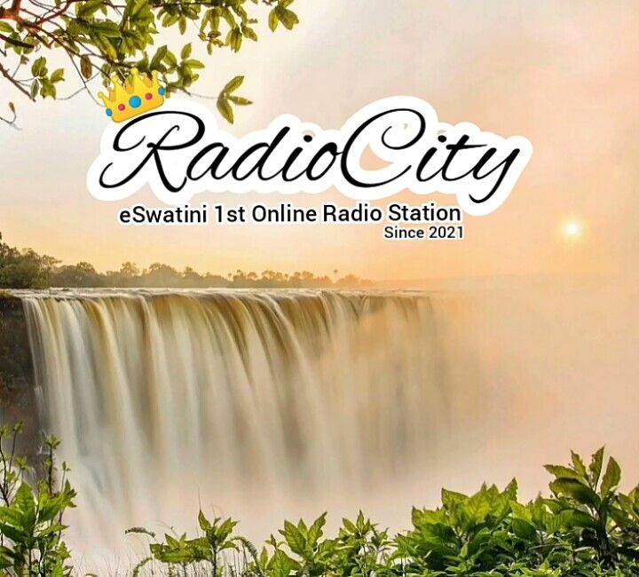 Website Image