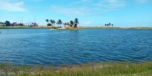 Website Image