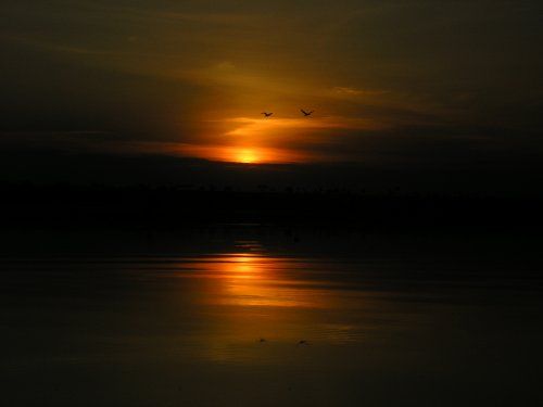 Website Image