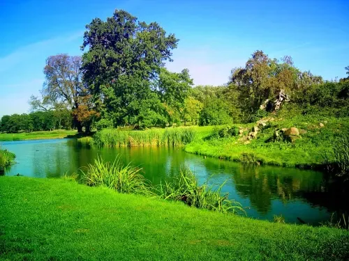 Website Image