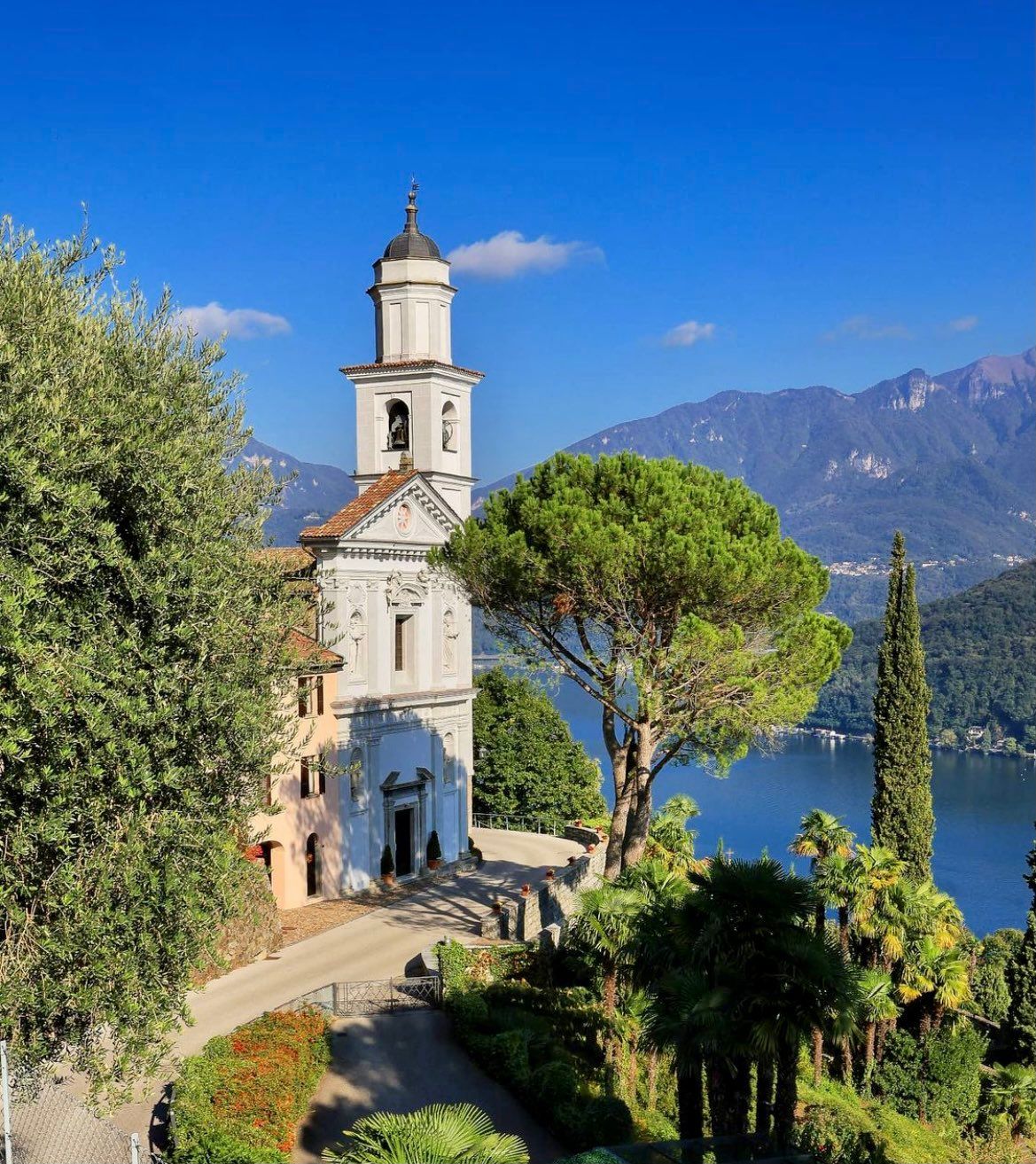 Website Image