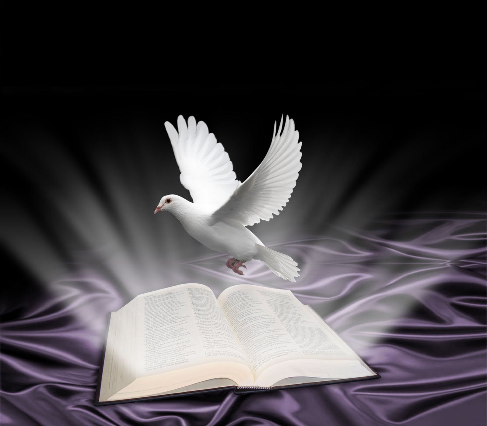 Website Image