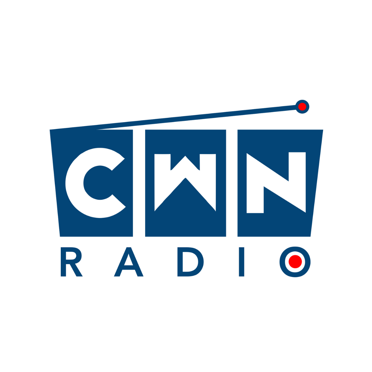 Website Image