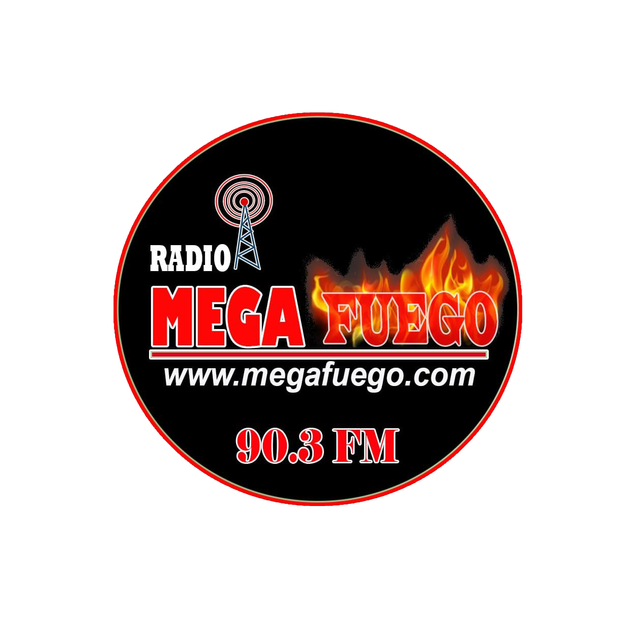 Website Image