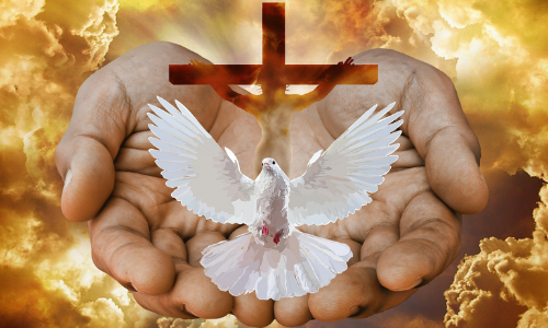 Website Image