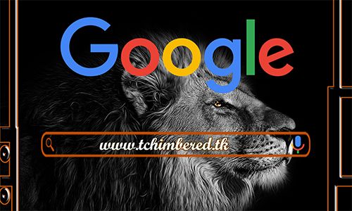 Website Image