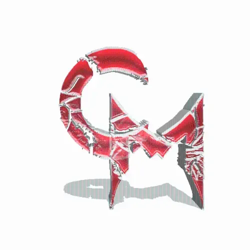 Website Image