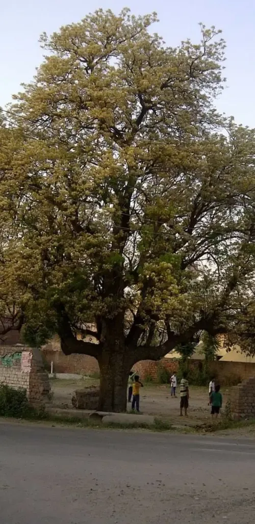 Website Image