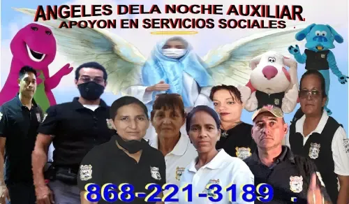 Website Image