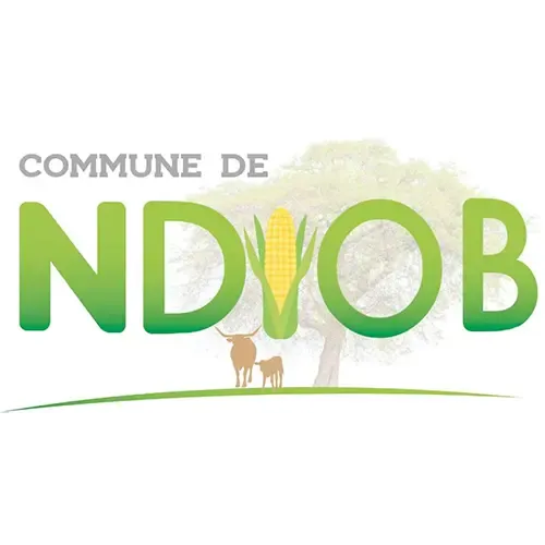Website Image