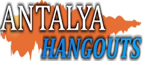 Website Image
