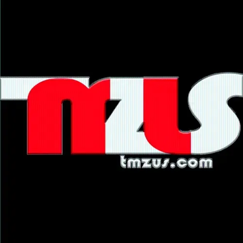 Website Image