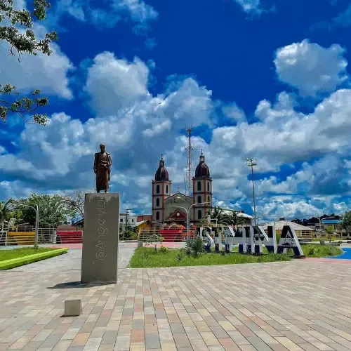Website Image