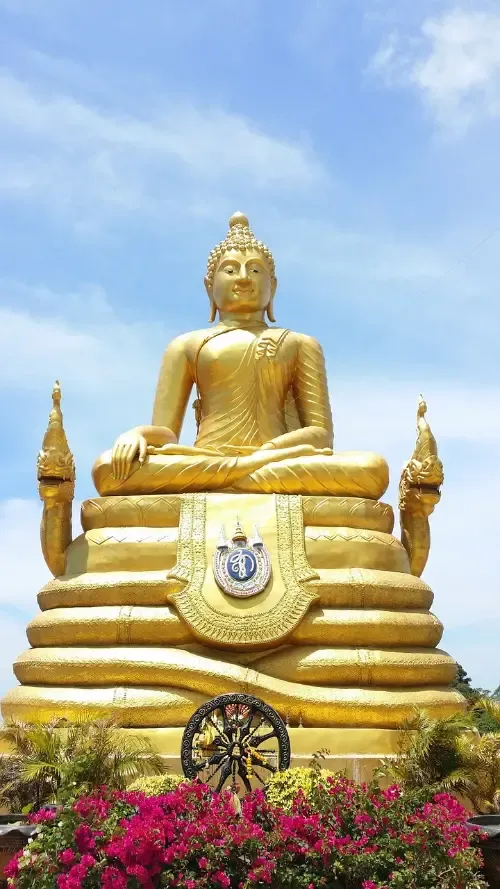 Website Image