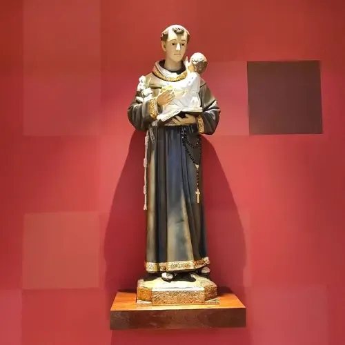 Website Image