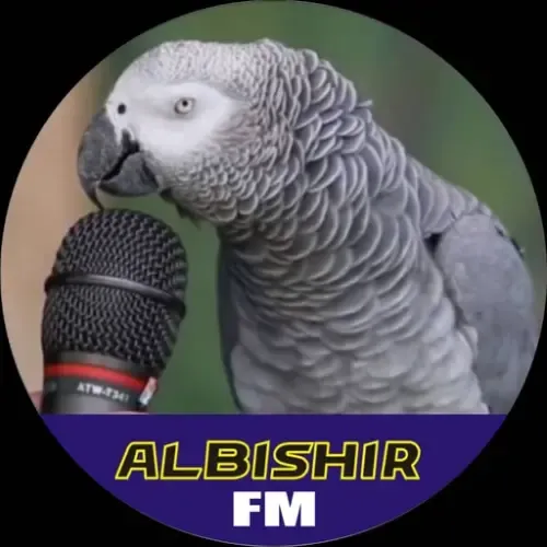 Website Image