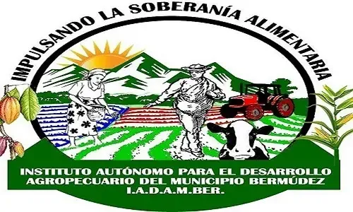 Website Image