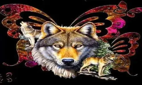Website Image