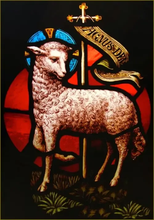 Website Image