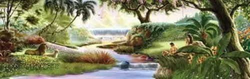 Website Image