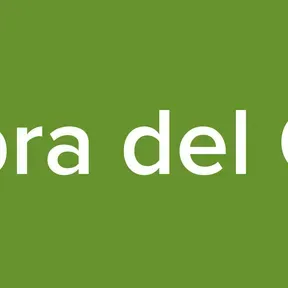 Bajo la Sombra del Omnipotente