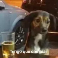 losviernes sesión 6-11