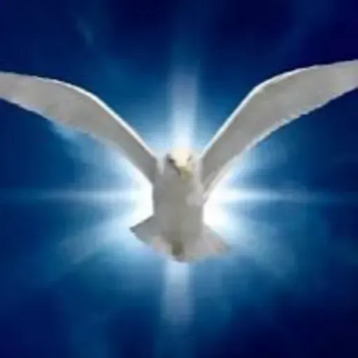 DEJEMONOS GUIAR POR EL ESPIRITU SANTO