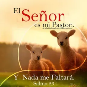 Reflexión del Salmo por el Pbro. Emilio Navar