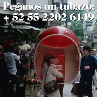 El Siglo de los Sonidos #1135 (27-10-2024)