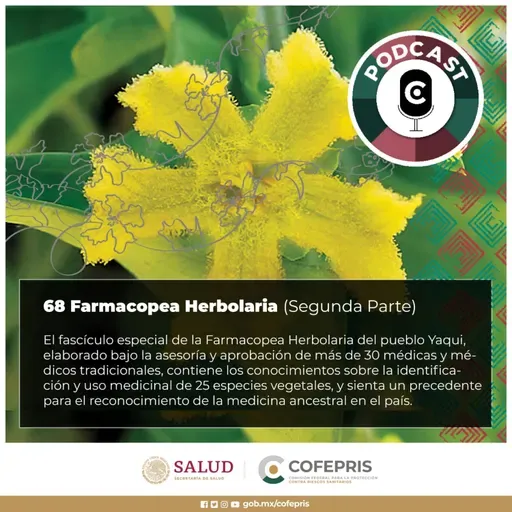 68 Farmacopea Herbolaria: Pueblo Yaqui (Parte 2)