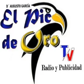 El Pico de Oro Radio y TV