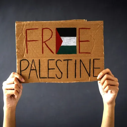 Dublin Primary School Teacher In Trouble Over Attending Pro-Palestine March