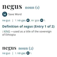 Should White people be able to say the N word ??