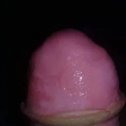 Perreointenso